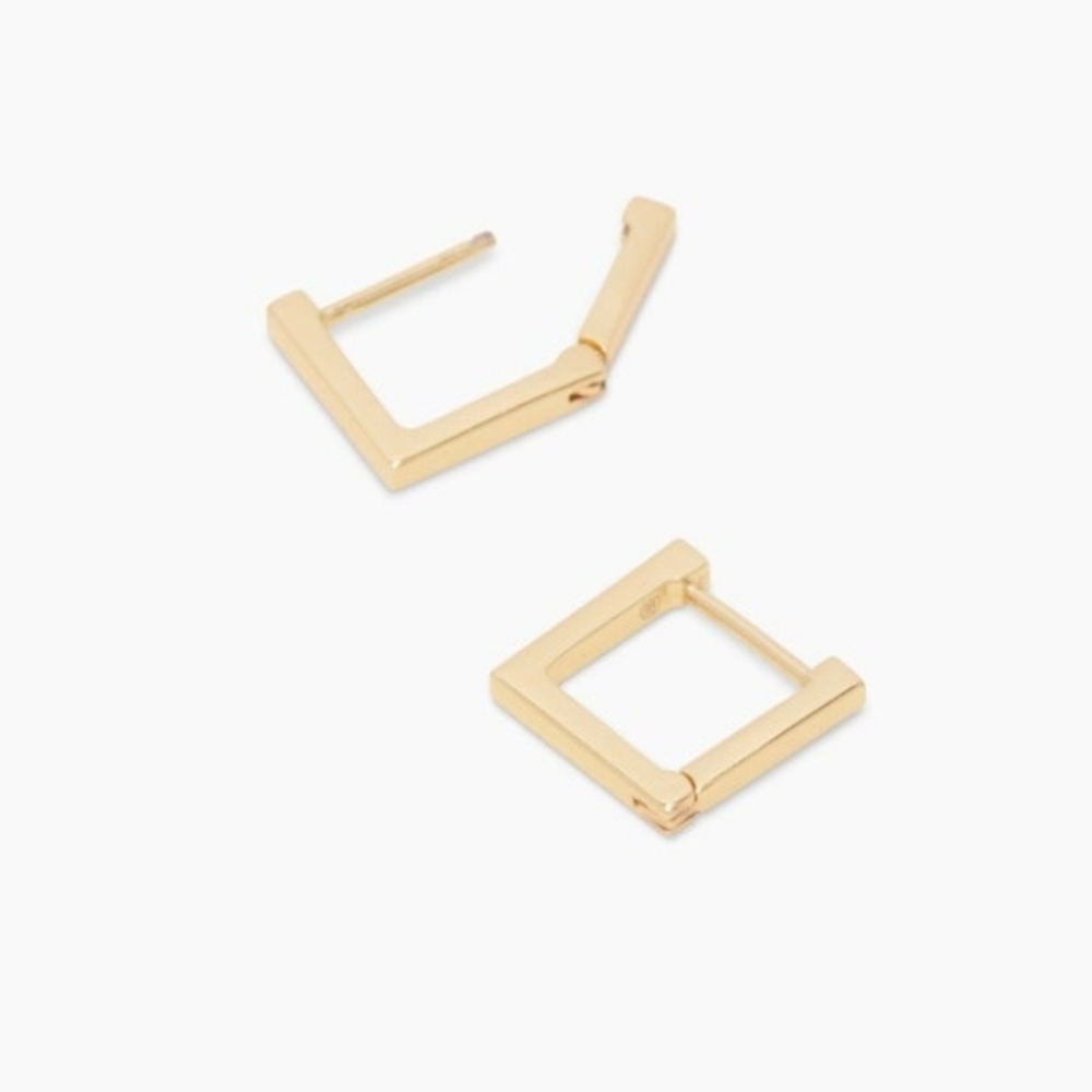 New Gorjana Earrings